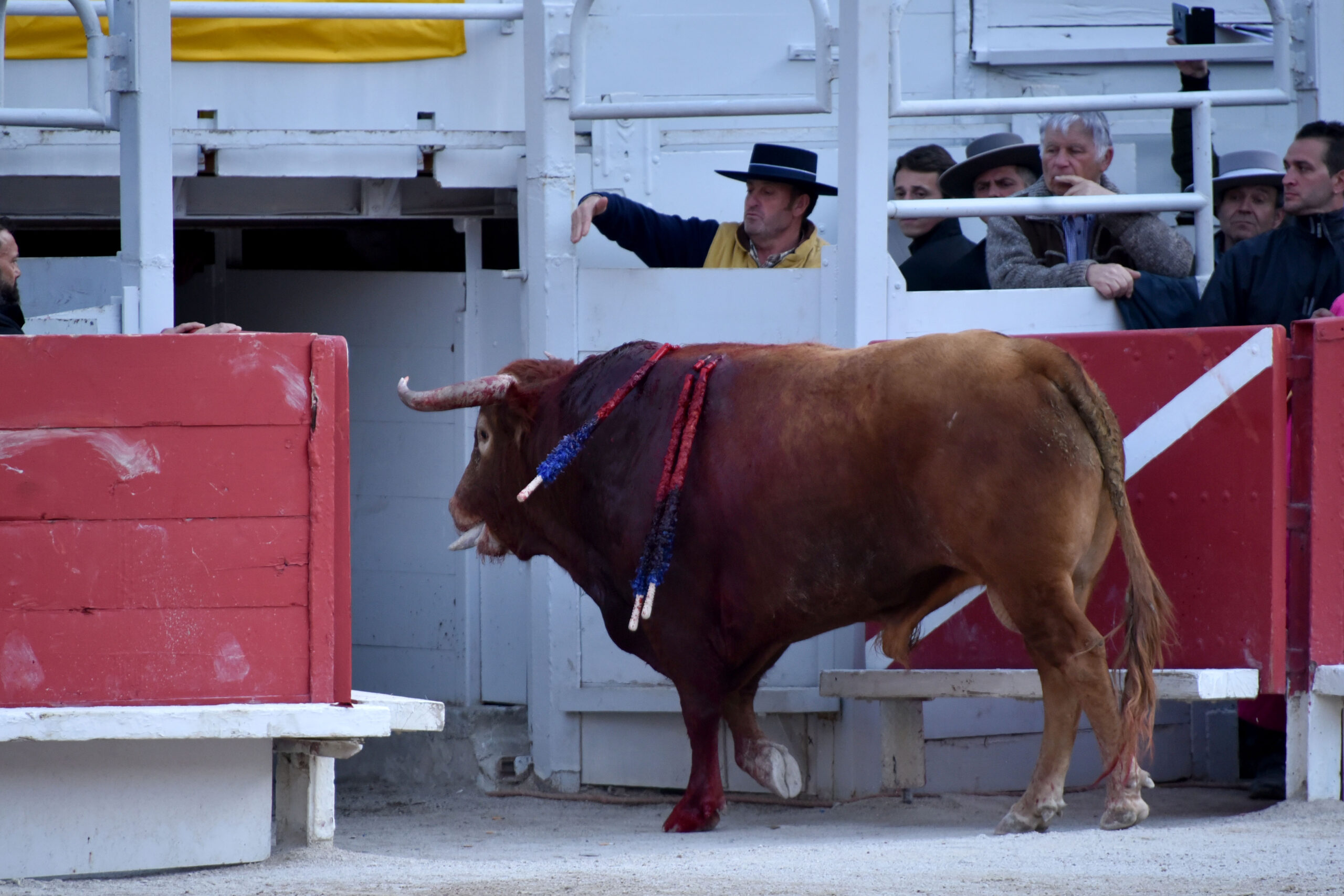 Arles (Francia) - Feria de Pascua - Corrida de toros - Domingo 1 de abril de 2018