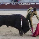 Madrid - Novillada picada - Domingo 8 de abril de 2018