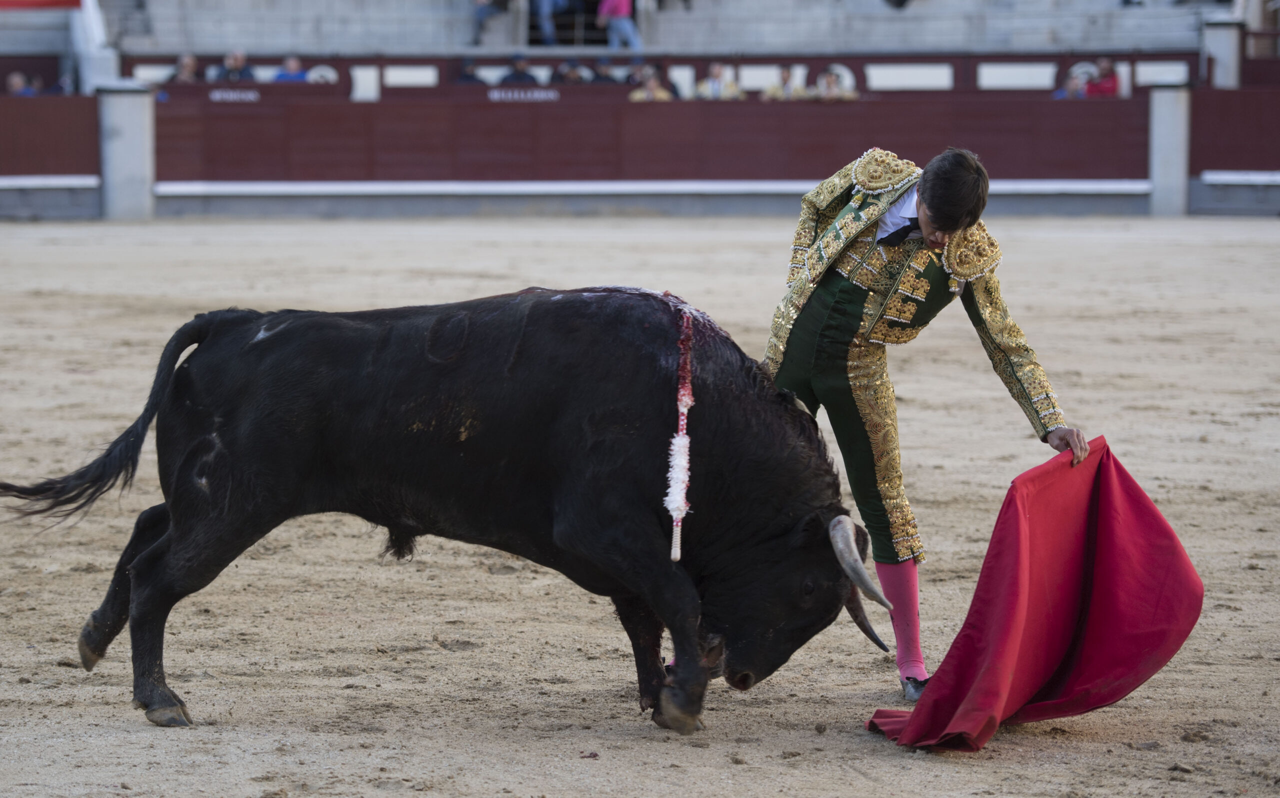 Madrid - Novillada picada - Domingo 8 de abril de 2018
