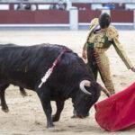Madrid - Novillada picada - Domingo 8 de abril de 2018