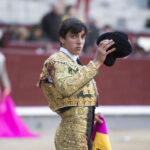 Madrid - Novillada picada - Domingo 8 de abril de 2018