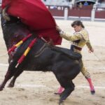 Madrid - Novillada picada - Domingo 8 de abril de 2018