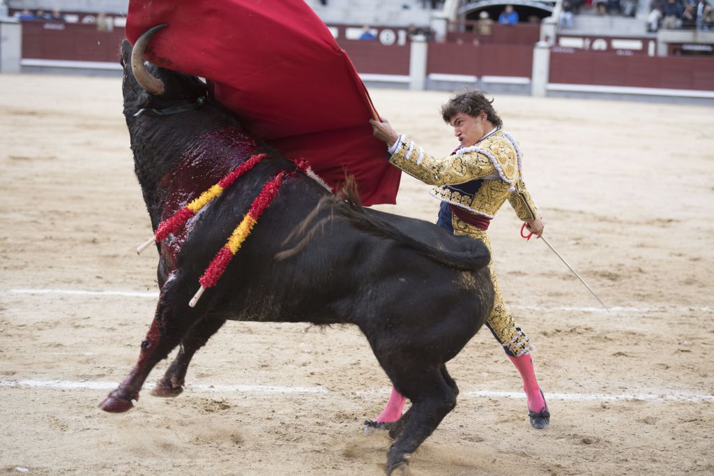Madrid - Novillada picada - Domingo 8 de abril de 2018