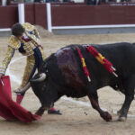 Madrid - Novillada picada - Domingo 8 de abril de 2018