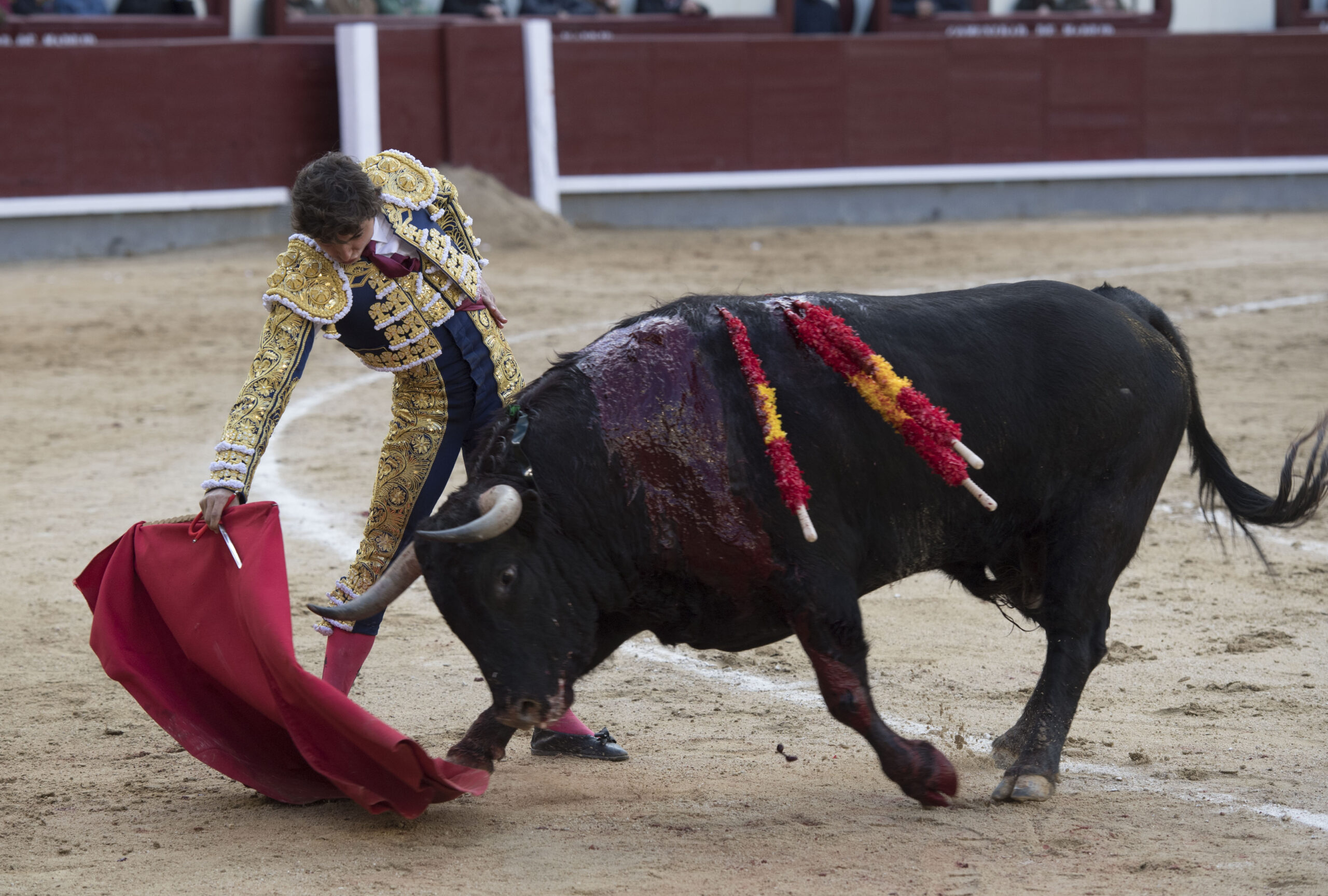 Madrid - Novillada picada - Domingo 8 de abril de 2018