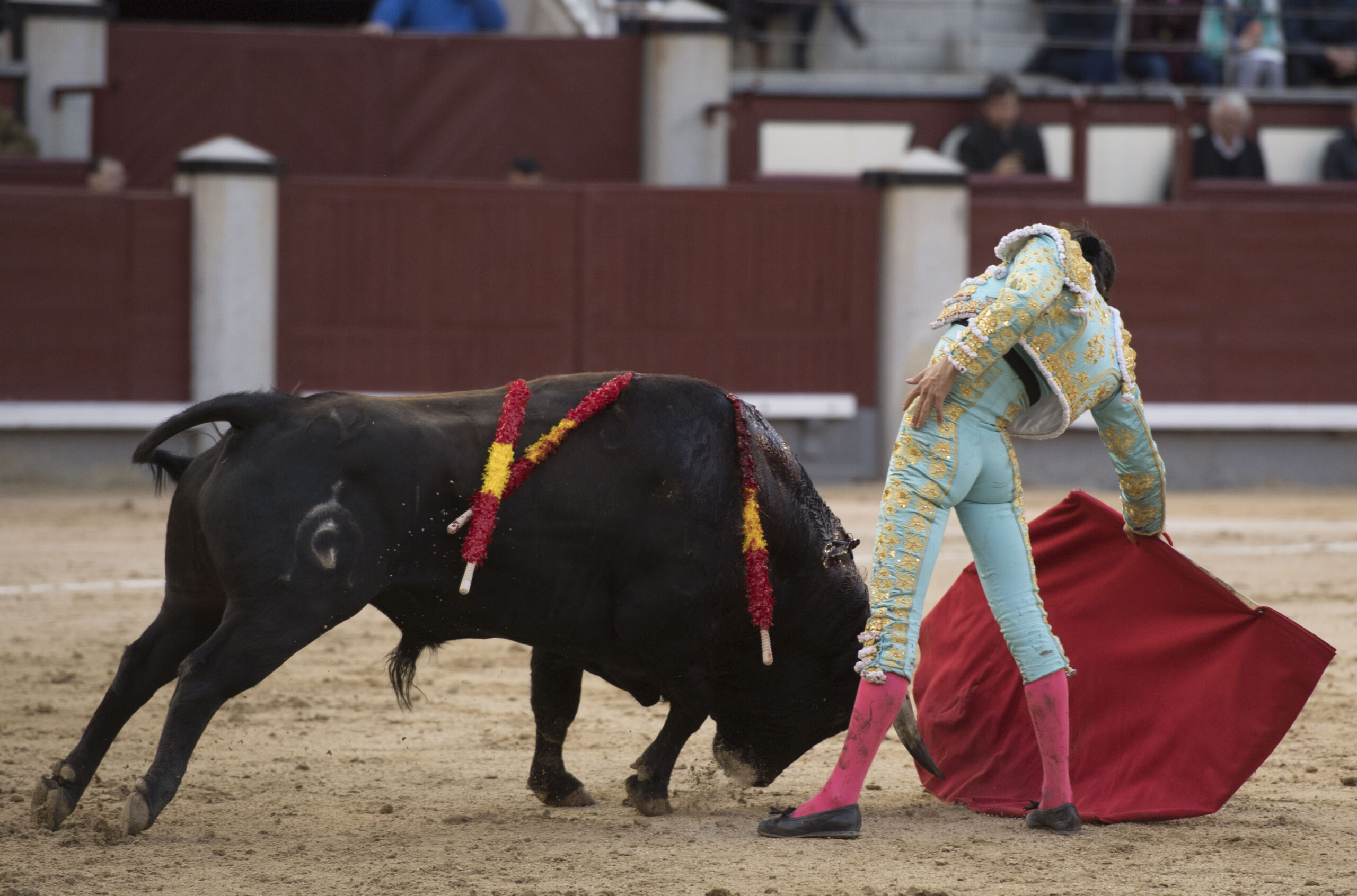 Madrid - Novillada picada - Domingo 8 de abril de 2018
