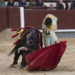 Madrid - Novillada picada - Domingo 8 de abril de 2018