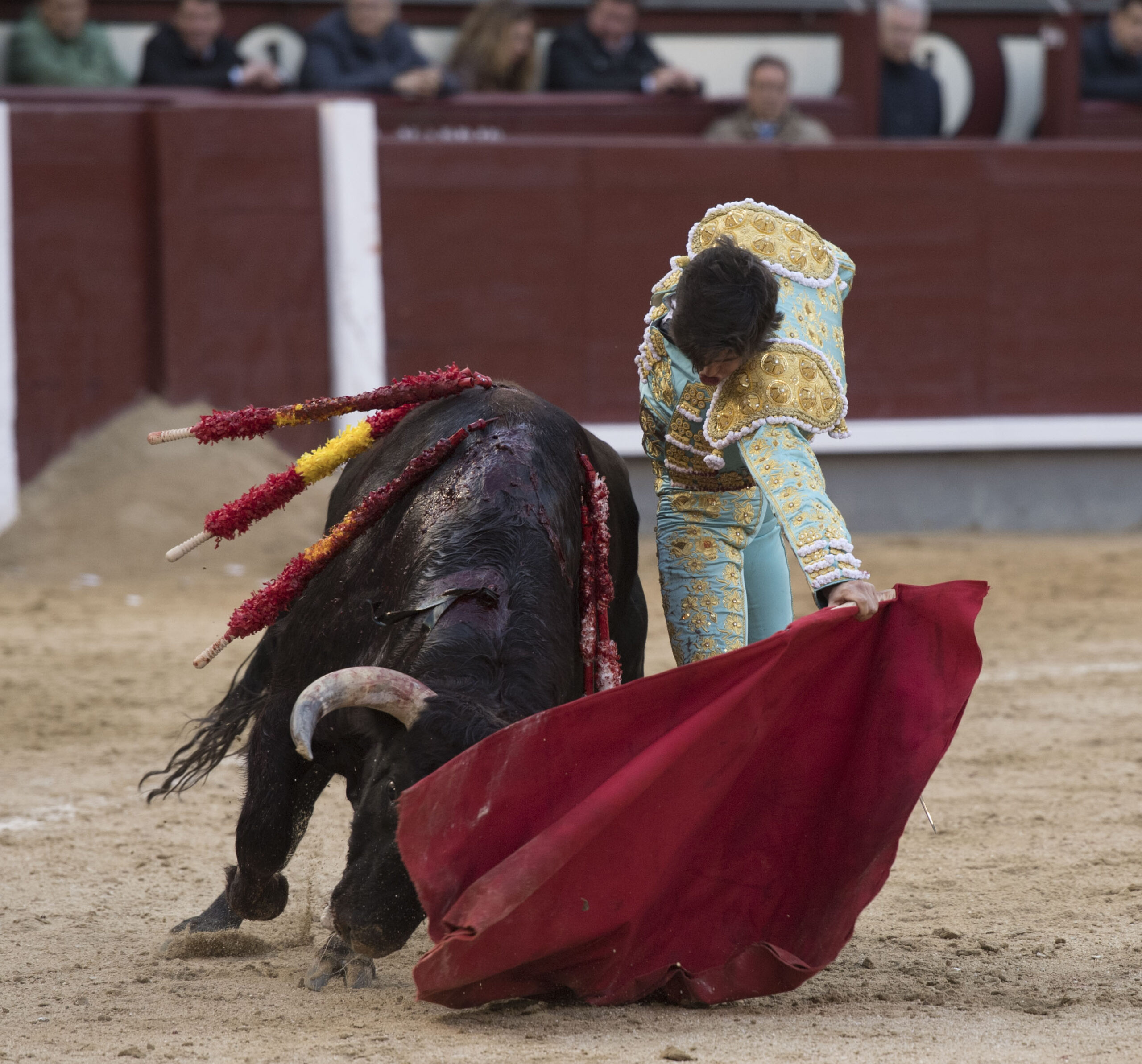 Madrid - Novillada picada - Domingo 8 de abril de 2018