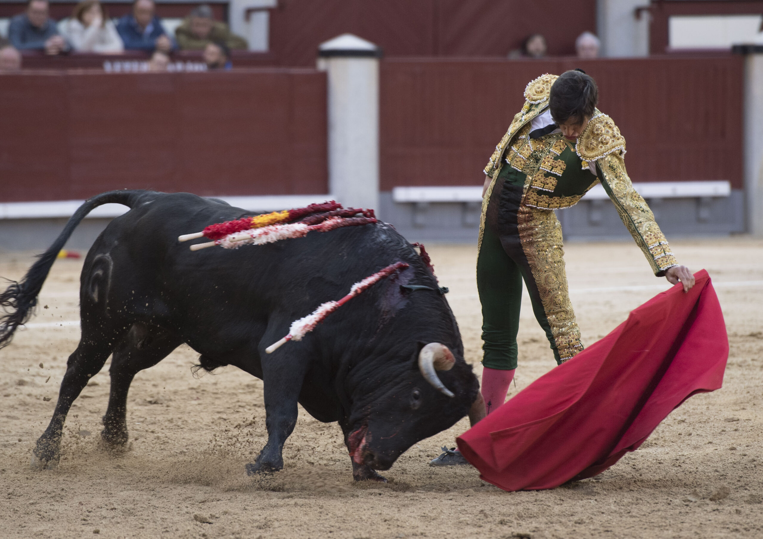 Madrid - Novillada picada - Domingo 8 de abril de 2018