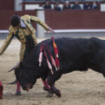 Madrid - Novillada picada - Domingo 8 de abril de 2018