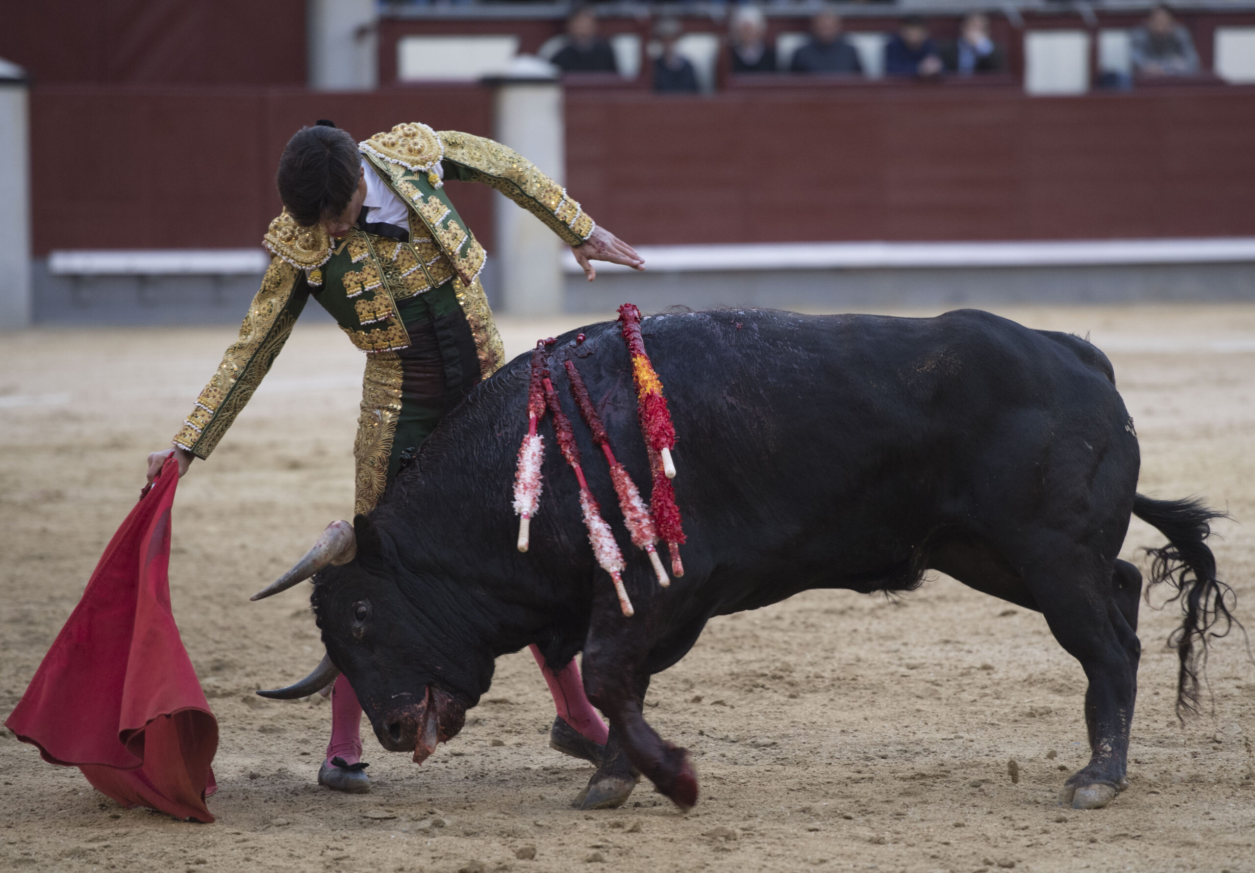 Madrid - Novillada picada - Domingo 8 de abril de 2018