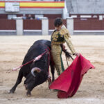 Madrid - Novillada picada - Domingo 8 de abril de 2018