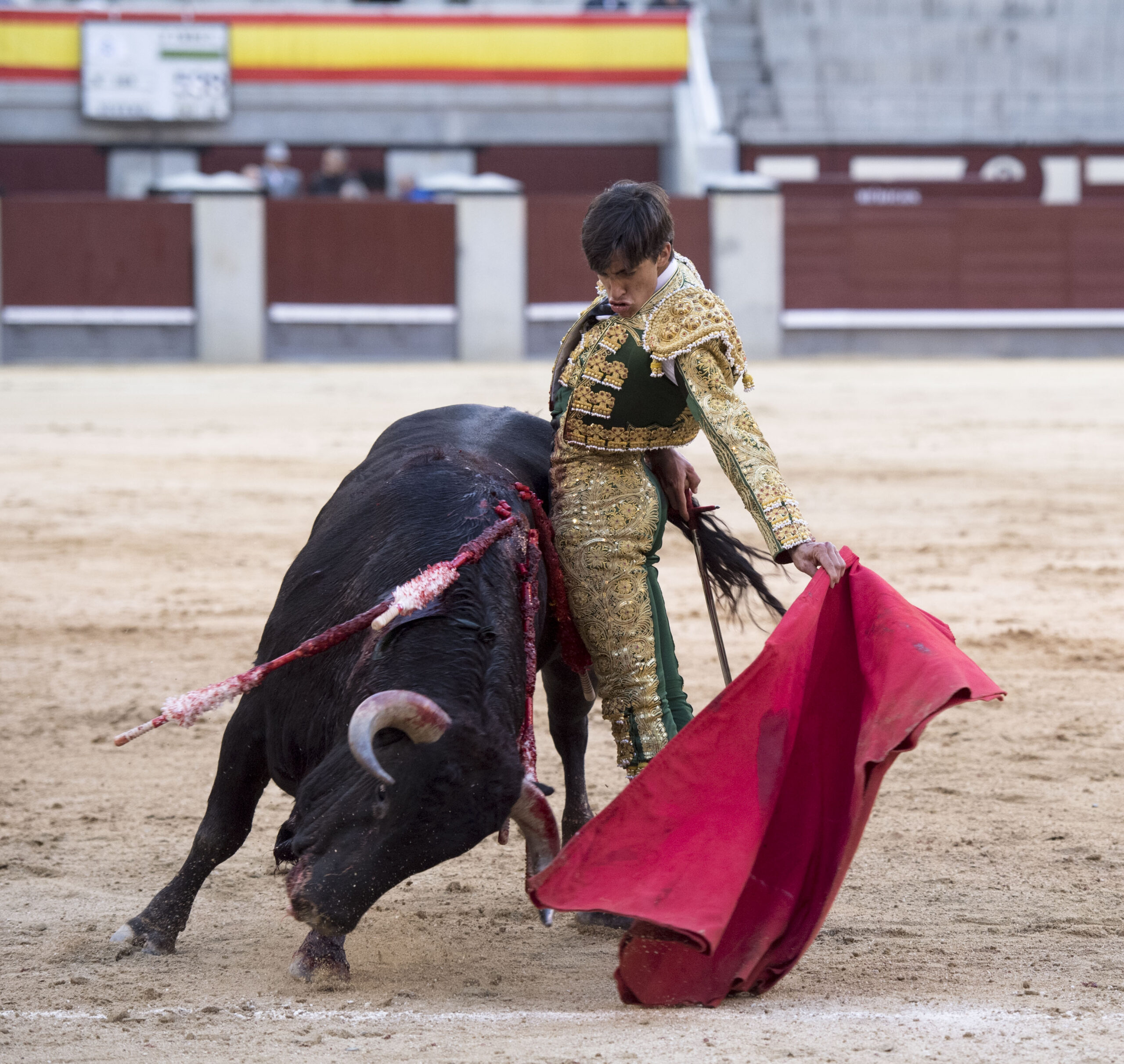 Madrid - Novillada picada - Domingo 8 de abril de 2018