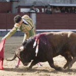 Madrid - Las Ventas - Novillada picada - Domingo 29 de abril de 2018