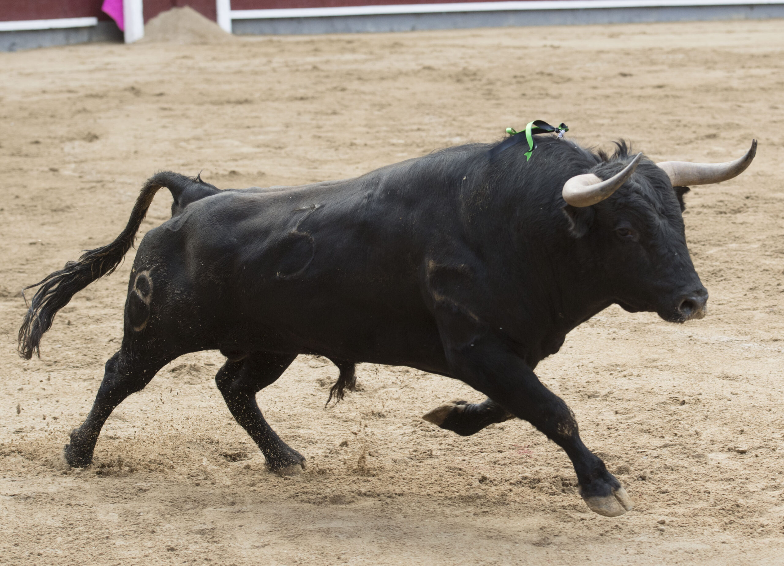 Madrid - Las Ventas - Novillada picada - Domingo 29 de abril de 2018