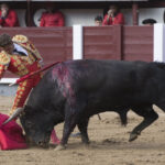 Madrid - Las Ventas - Novillada picada - Domingo 29 de abril de 2018