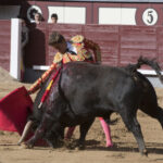 Madrid - Las Ventas - Novillada picada - Domingo 29 de abril de 2018