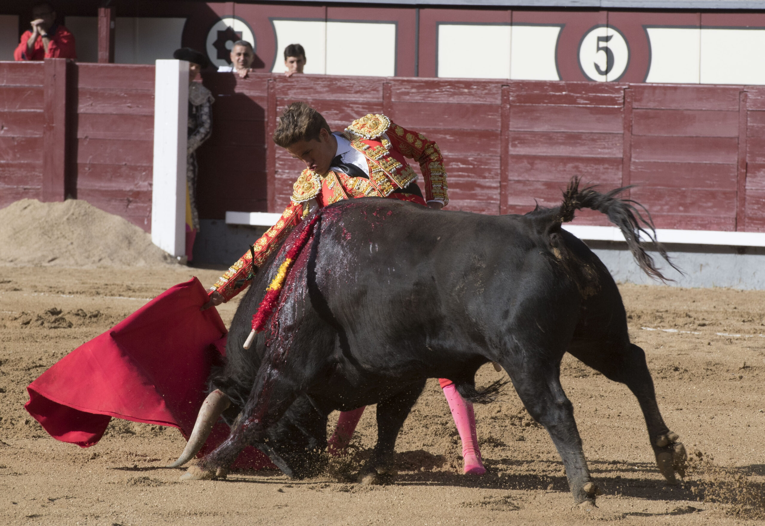 Madrid - Las Ventas - Novillada picada - Domingo 29 de abril de 2018