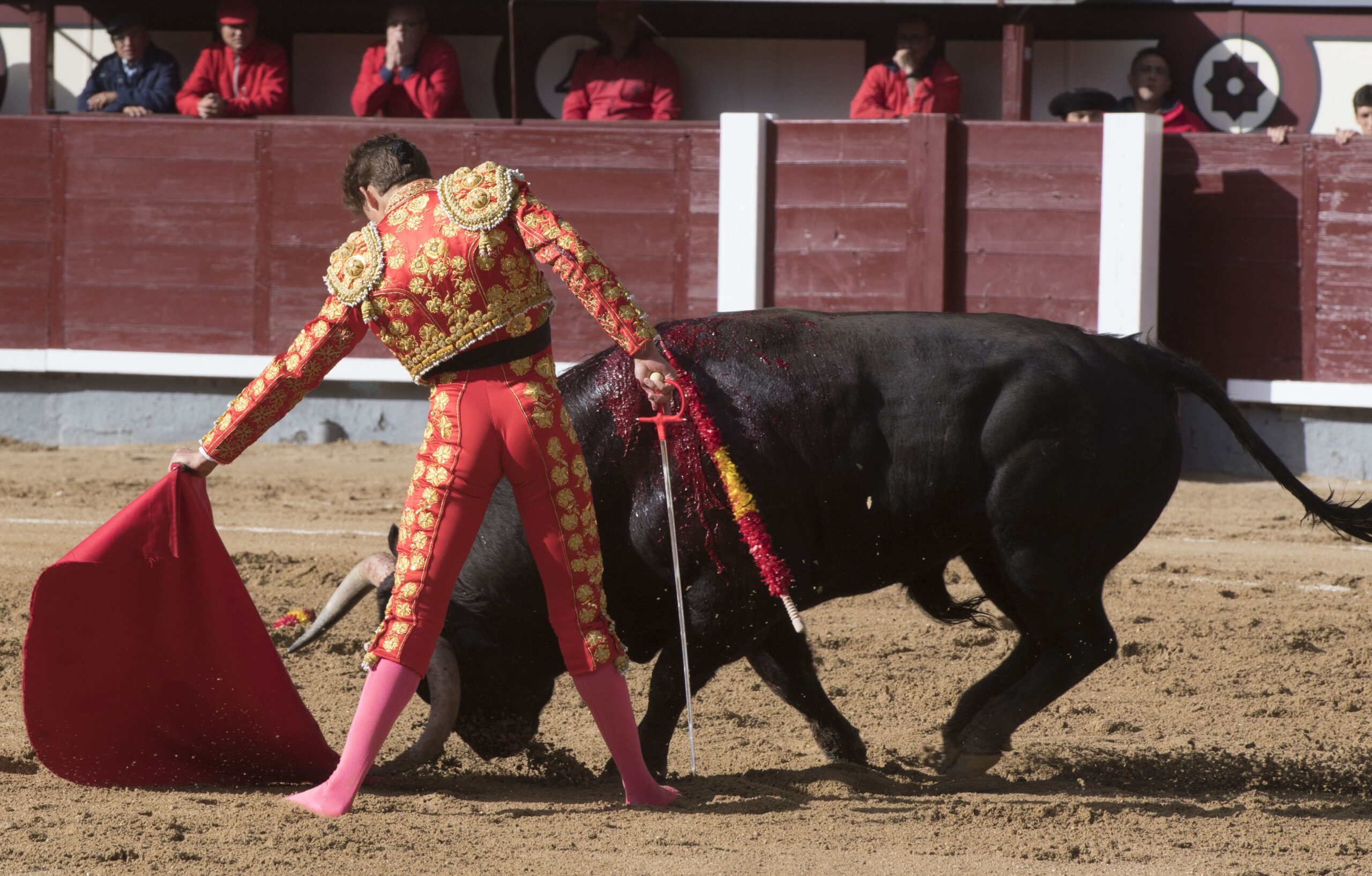 Madrid - Las Ventas - Novillada picada - Domingo 29 de abril de 2018