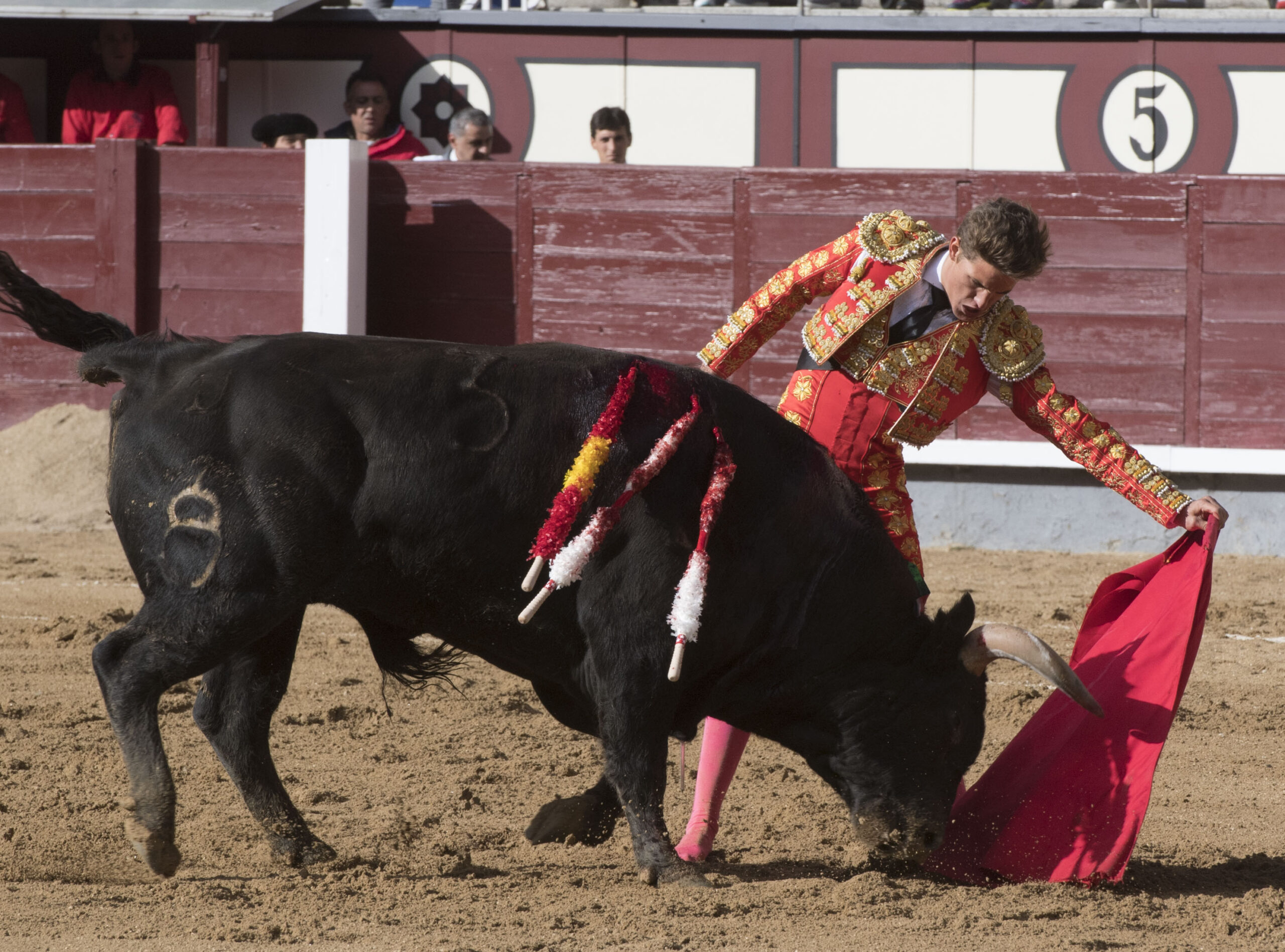 Madrid - Las Ventas - Novillada picada - Domingo 29 de abril de 2018