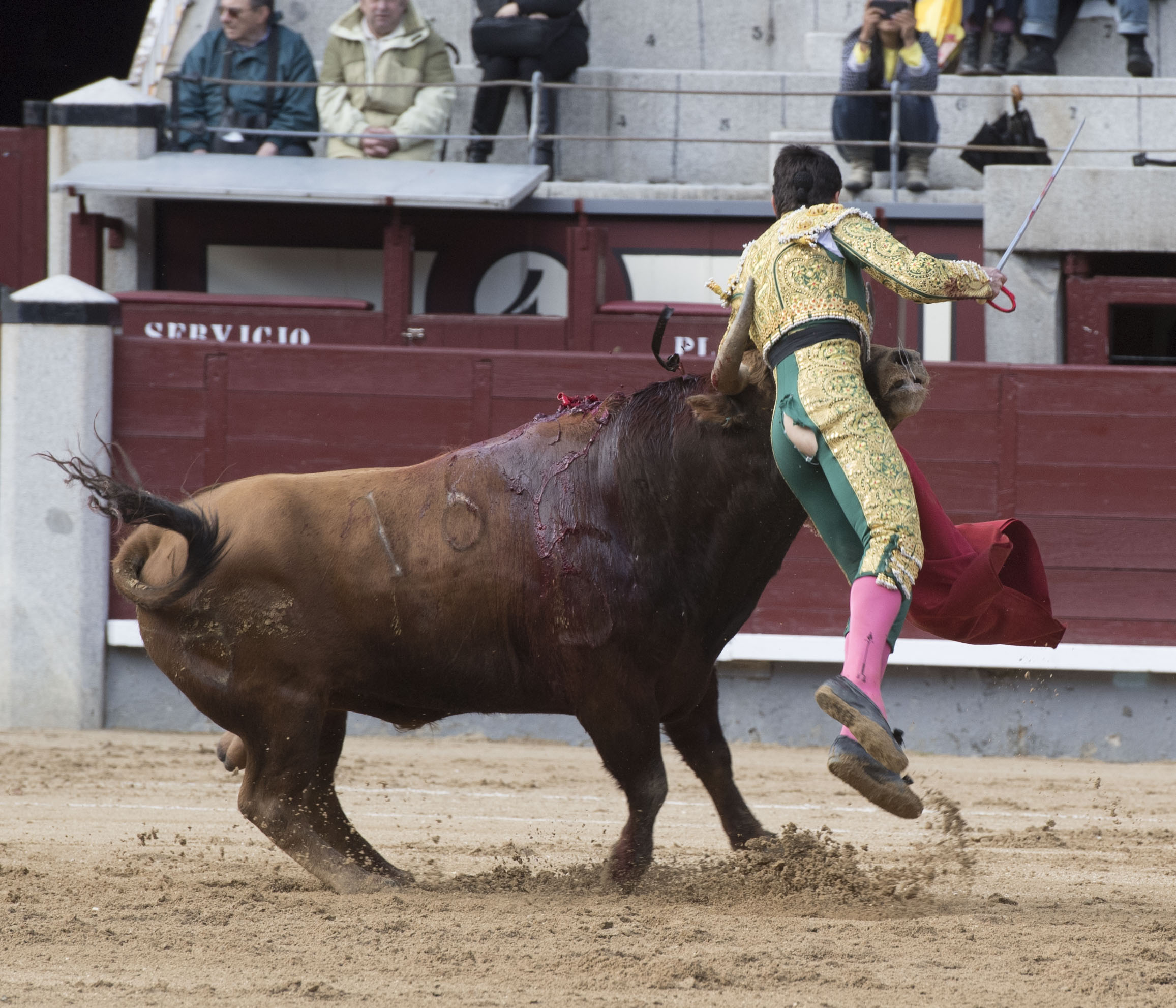 Madrid - Las Ventas - Novillada picada - Domingo 29 de abril de 2018