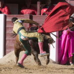 Madrid - Las Ventas - Novillada picada - Domingo 29 de abril de 2018
