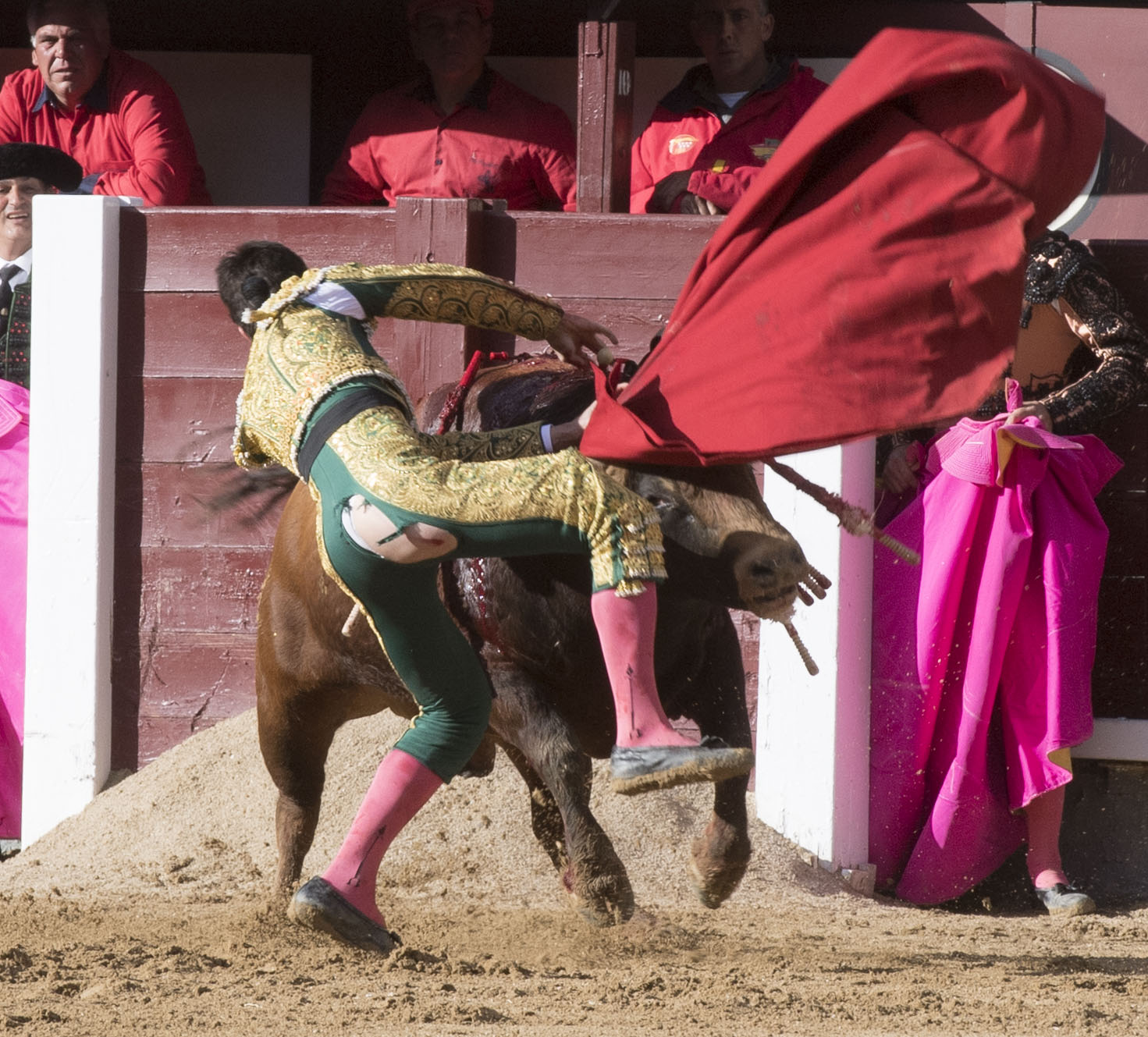 Madrid - Las Ventas - Novillada picada - Domingo 29 de abril de 2018