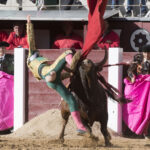 Madrid - Las Ventas - Novillada picada - Domingo 29 de abril de 2018