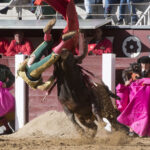 Madrid - Las Ventas - Novillada picada - Domingo 29 de abril de 2018