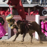 Madrid - Las Ventas - Novillada picada - Domingo 29 de abril de 2018