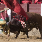 Madrid - Las Ventas - Novillada picada - Domingo 29 de abril de 2018