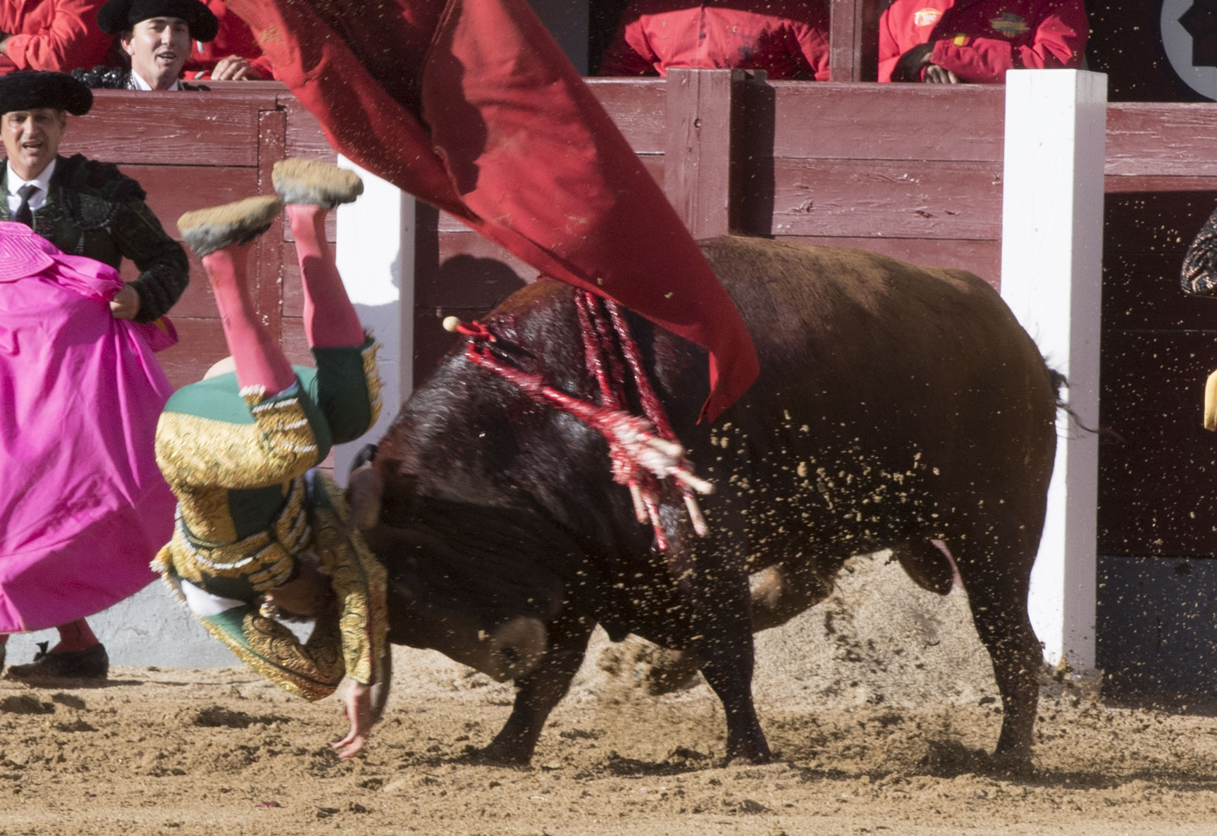 Madrid - Las Ventas - Novillada picada - Domingo 29 de abril de 2018