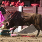 Madrid - Las Ventas - Novillada picada - Domingo 29 de abril de 2018