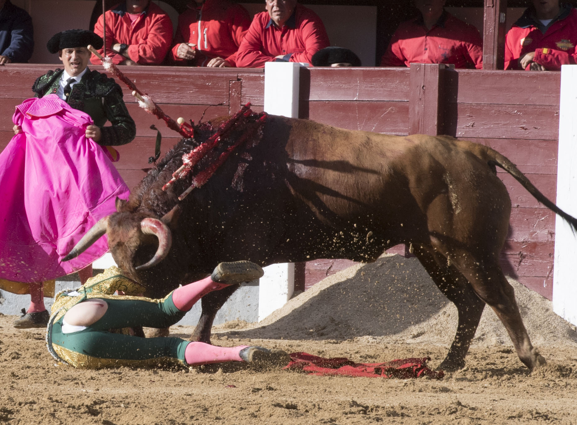 Madrid - Las Ventas - Novillada picada - Domingo 29 de abril de 2018