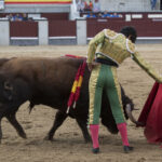 Madrid - Las Ventas - Novillada picada - Domingo 29 de abril de 2018