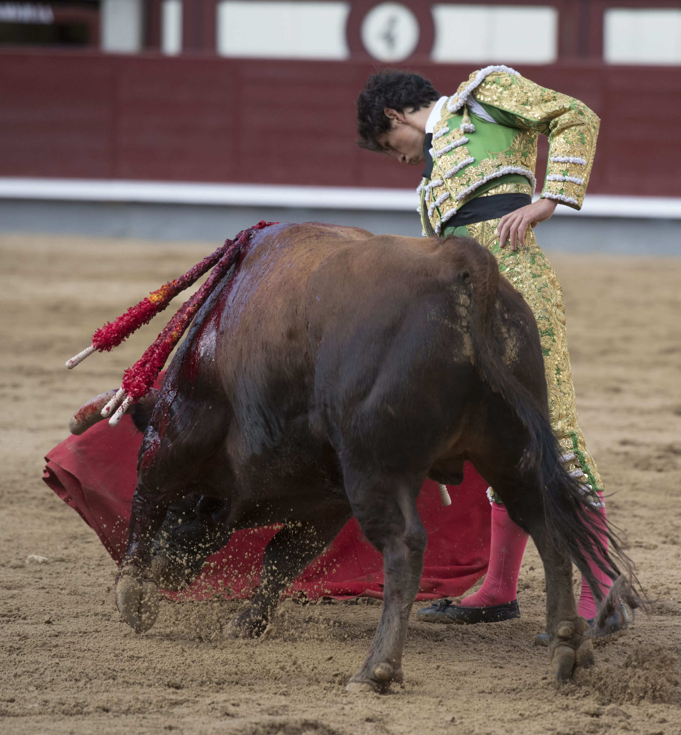 Madrid - Las Ventas - Novillada picada - Domingo 29 de abril de 2018