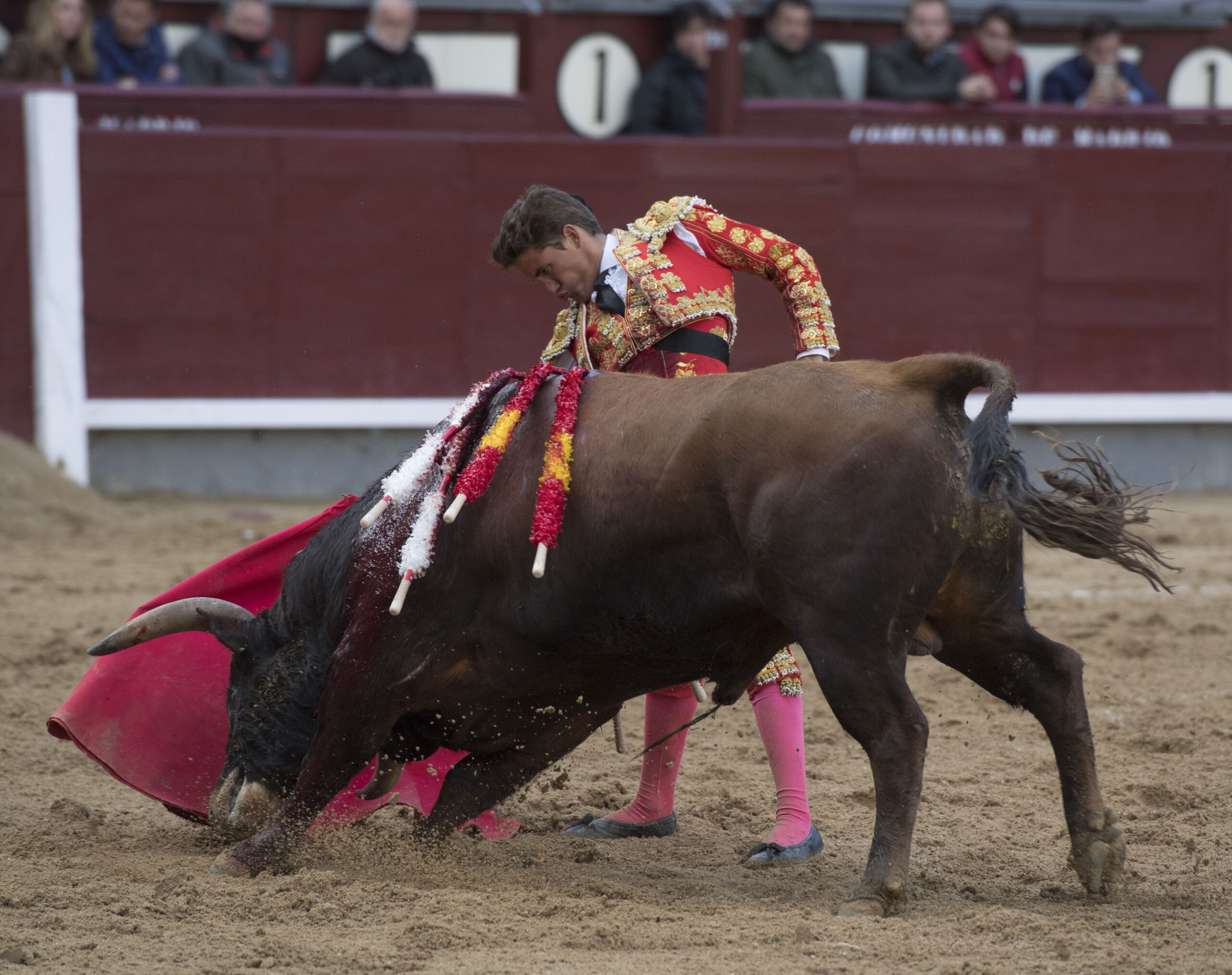 Madrid - Las Ventas - Novillada picada - Domingo 29 de abril de 2018