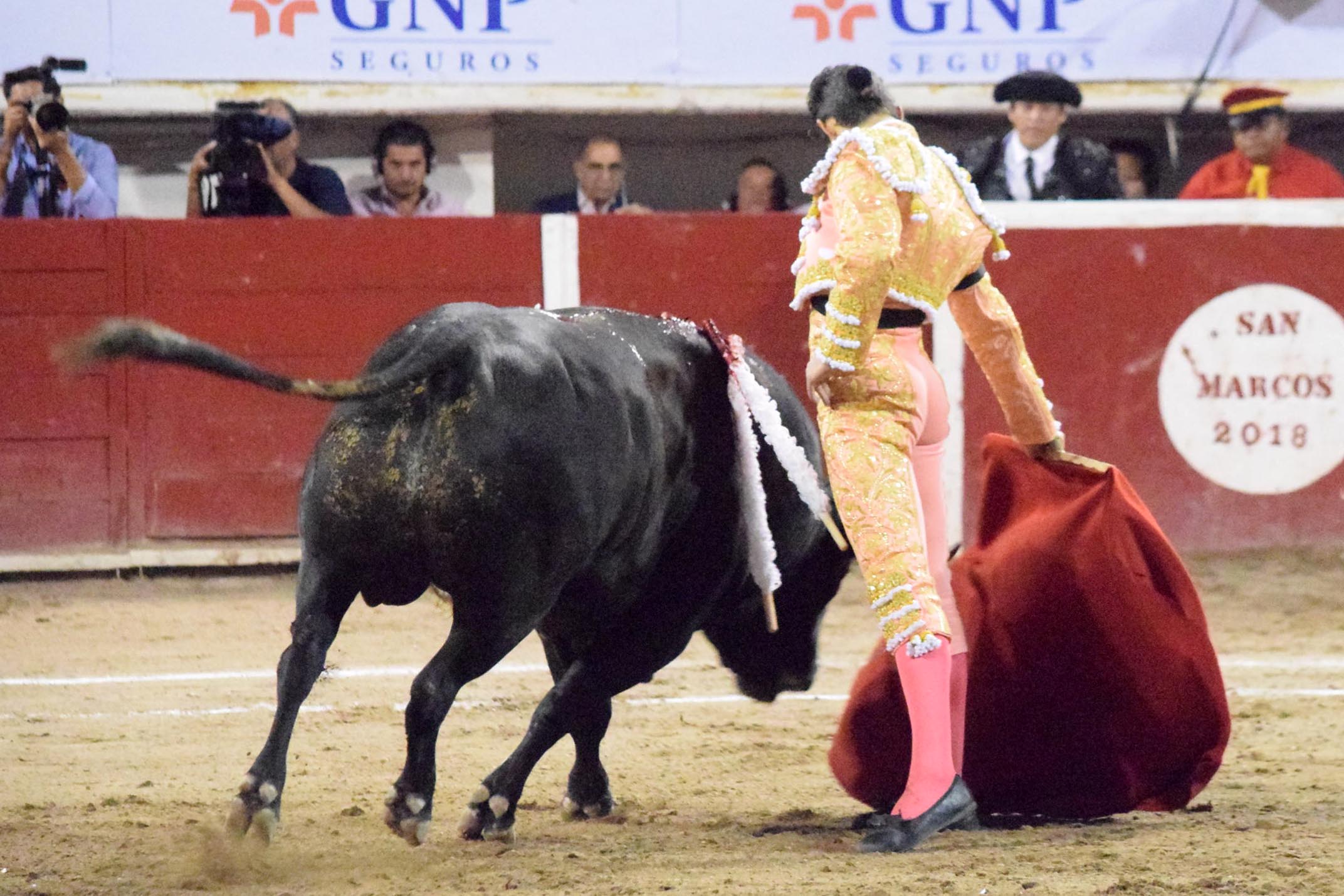 Aguascalientes (México), domingo 29 de abril de 2018