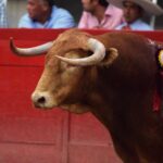 Aguascalientes (México) -Percance de Macías - Viernes 27 de abril de 2018