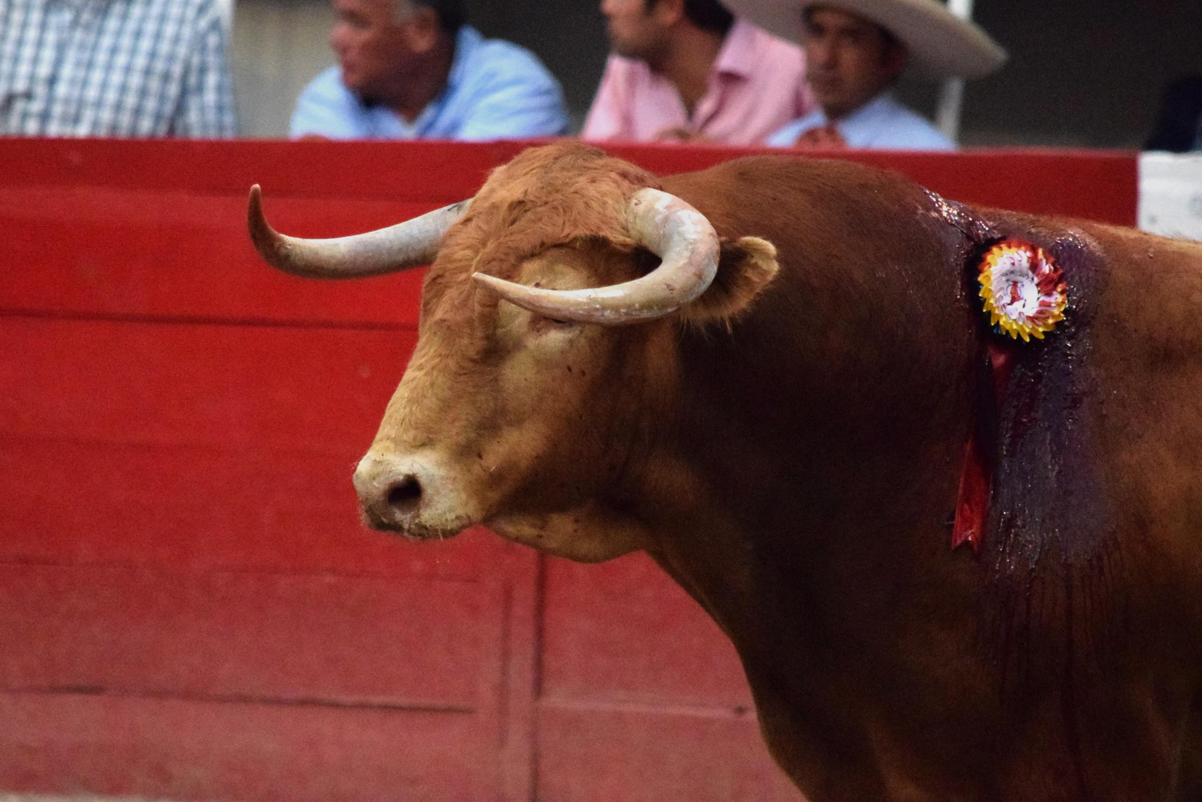 Aguascalientes (México) -Percance de Macías - Viernes 27 de abril de 2018