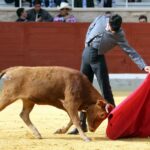 Quinto tentadero del V Certamen Alfarero de Plata 2018