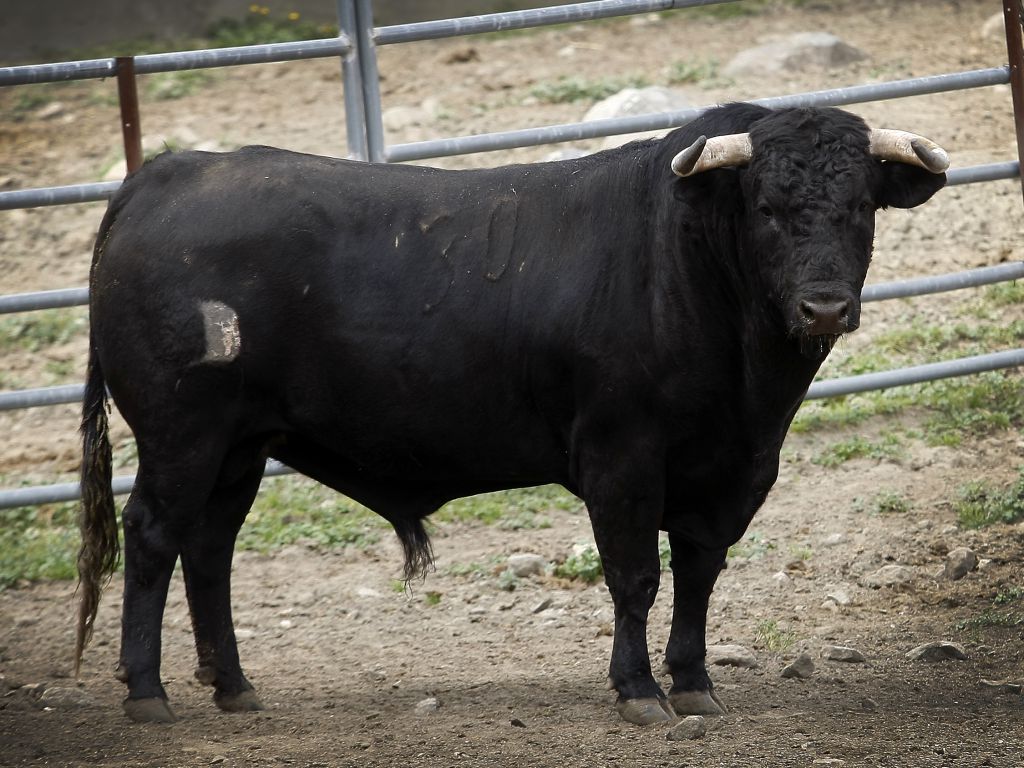 Toros para Diego Ventura en solitario en Espartinas. 15 de abril de 2018.