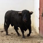 Palos de la Frontera (Huelva) - Corrida de toros - Sábado 21 de abril de 2018