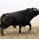 Palos de la Frontera (Huelva) - Corrida de toros - Sábado 21 de abril de 2018
