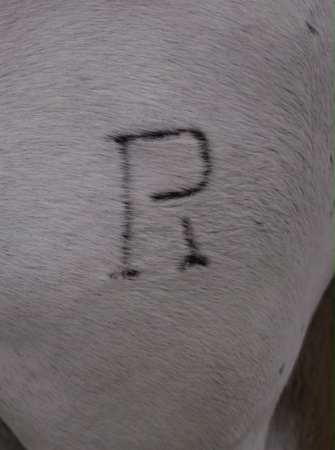 La Puebla el Río - Misa funeral y entierro de Ángel Peralta - Domingo 8 de abril de 2018