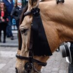 La Puebla el Río - Misa funeral y entierro de Ángel Peralta - Domingo 8 de abril de 2018