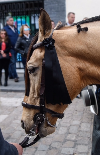 La Puebla el Río - Misa funeral y entierro de Ángel Peralta - Domingo 8 de abril de 2018