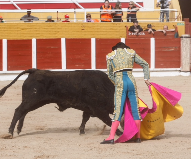 Guadalajara - Corrida de la primavera - Sábado 21 de abril de 2018