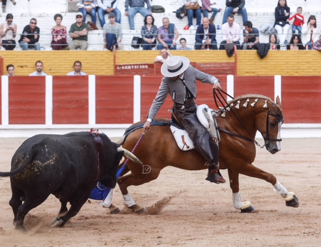 Guadalajara - Corrida de la primavera - Sábado 21 de abril de 2018