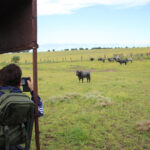 Sevilla - Visita a la ganadería de Partido de Resina - 7 de abril de 2018